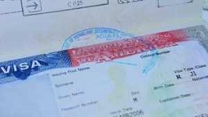 Visa J-1